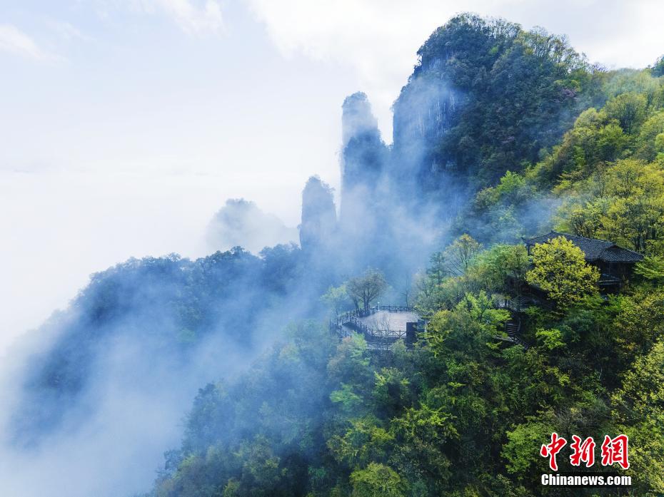 中国新嫩模肉体艺术最新消息