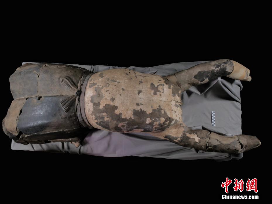 校花被 娇喘出奶电影
