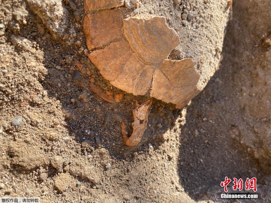 两女互摸自慰爽到呻吟