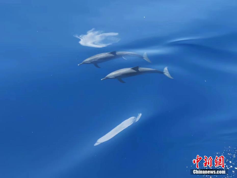 国产调教