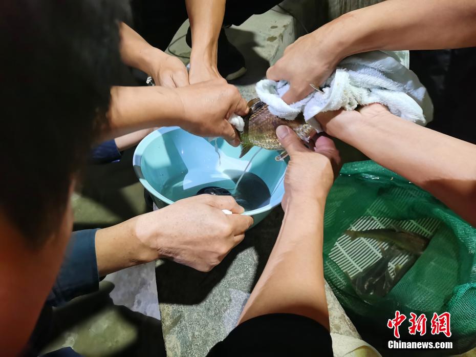 猛男GayGay 小蓝视频宏翔