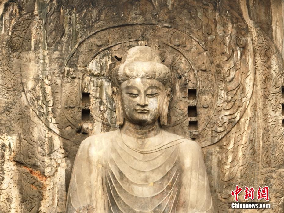 柑橘直播