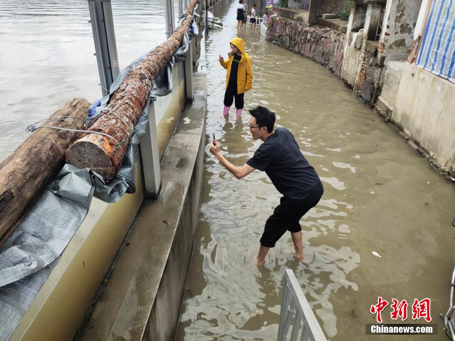 高清无码淫