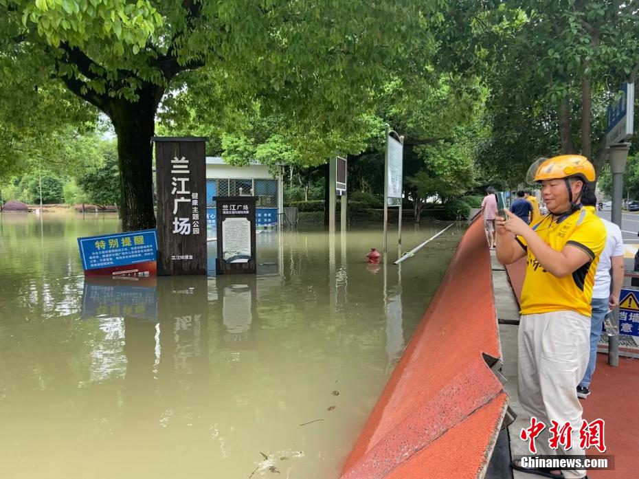 南條愛乃