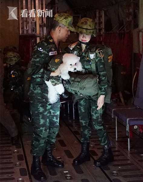 荔枝直播