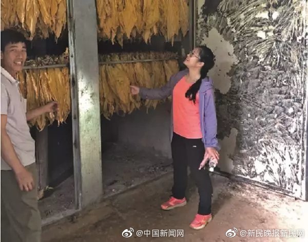 番剧:哥伦布的洞穴男