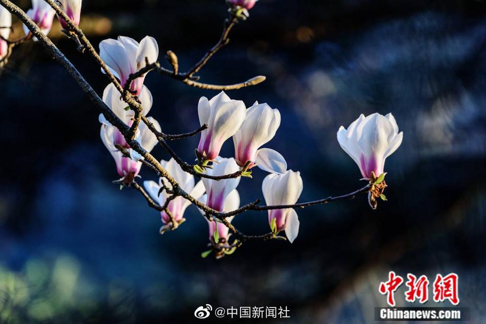 中国群交色情片