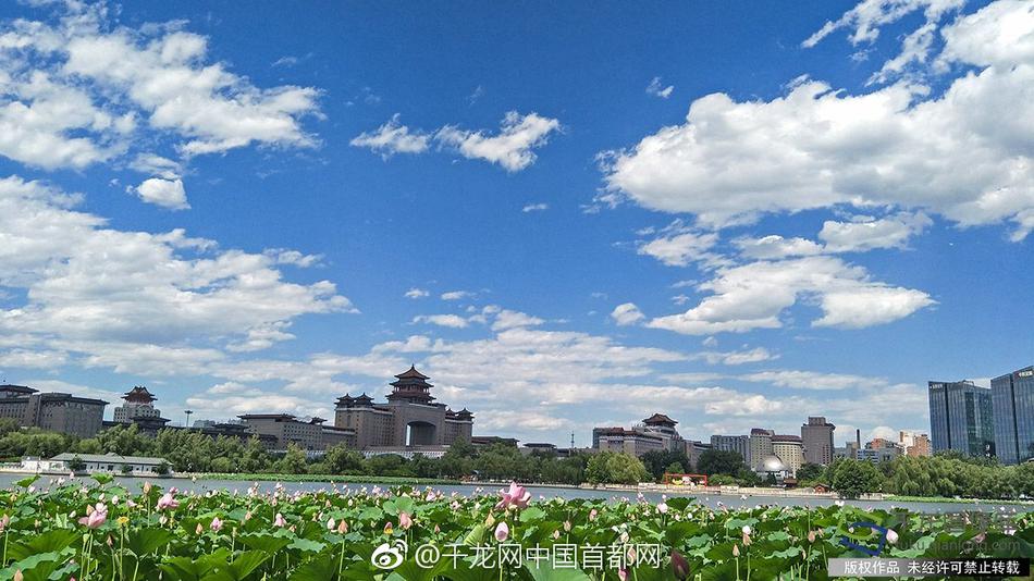 Av直播