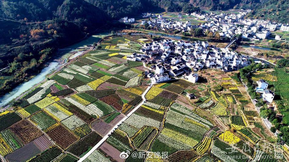 纲手被 脱脱内内