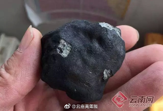天天更新的黄色网站