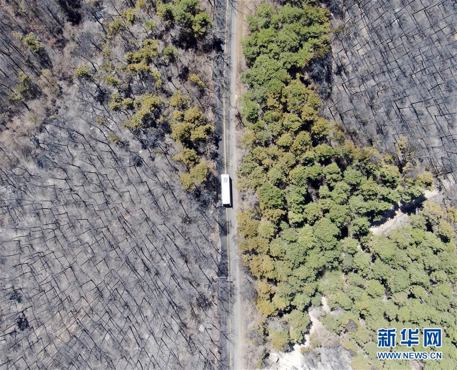 欧美三级图片