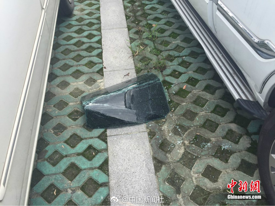 澳门毛片