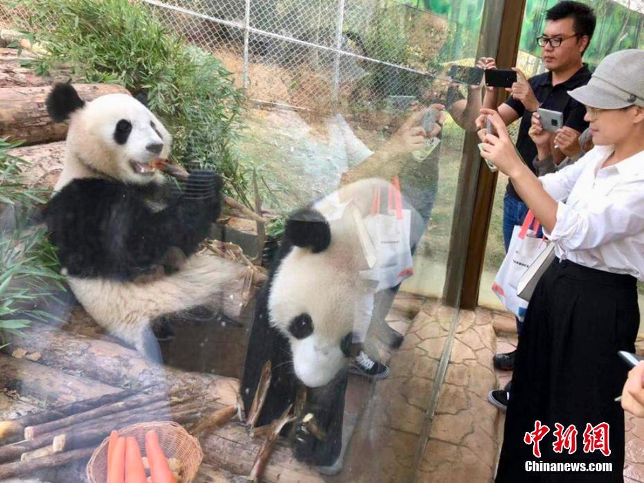 黄片夫妻俩
