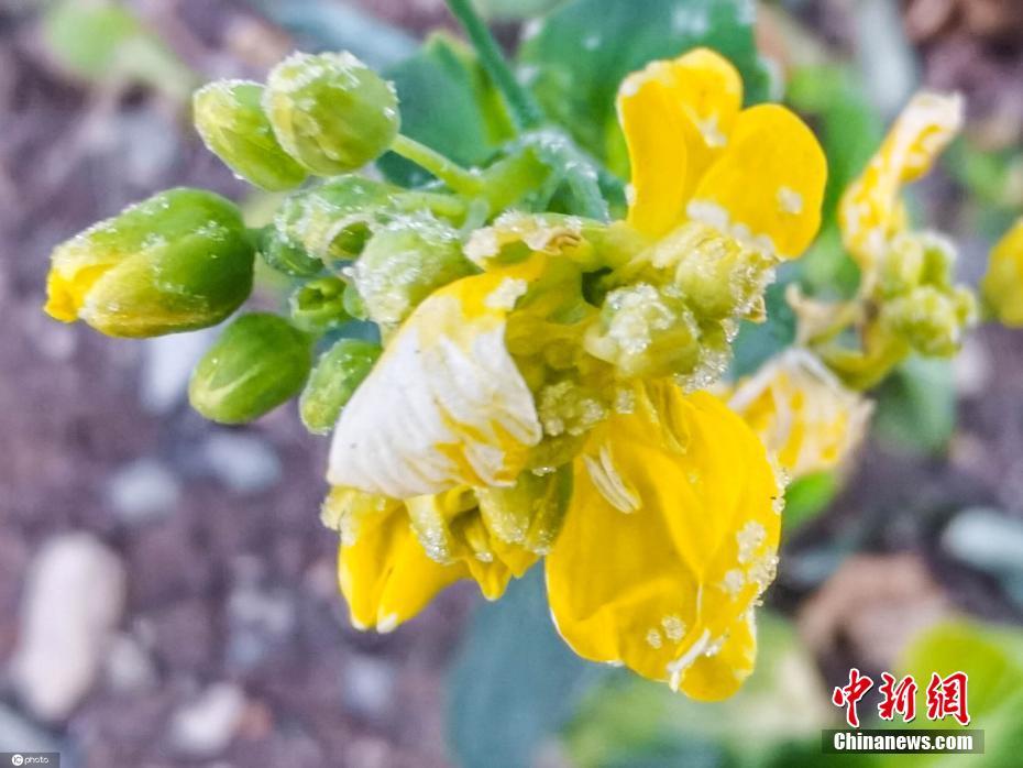 欧州三级电影在线
