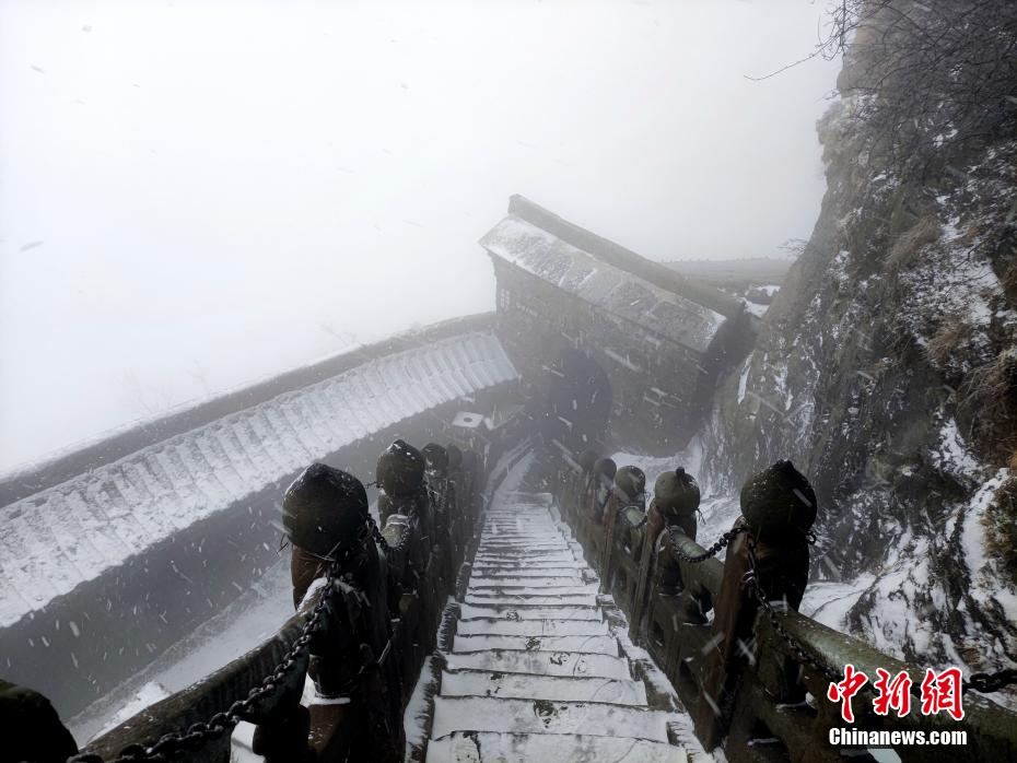 自杀小队