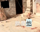 娇妻被邀上台玩多P