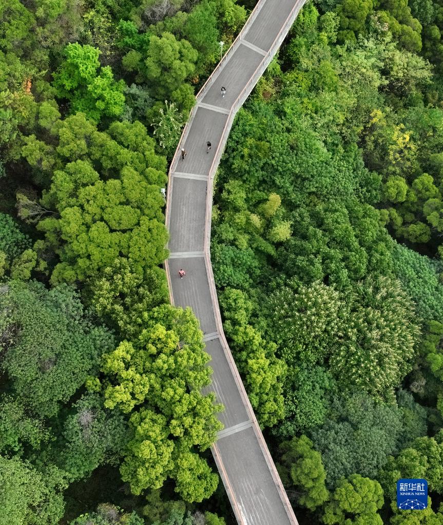 台灣肛交痛