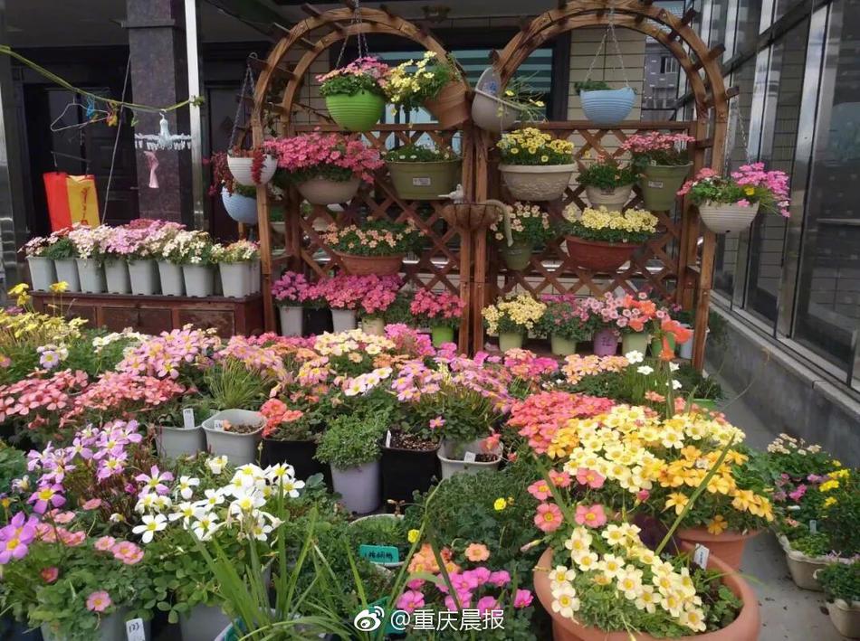 黄动漫