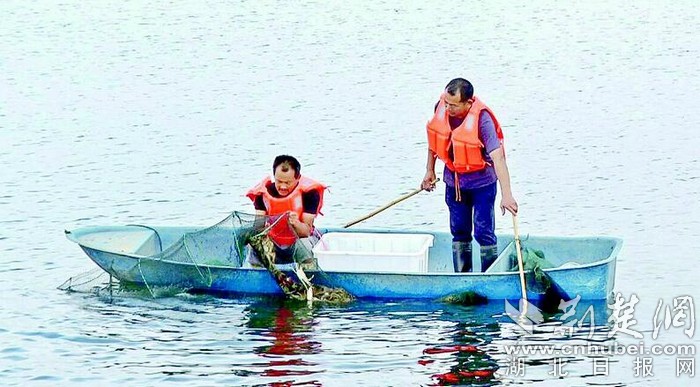韩国伦理乱伦外出