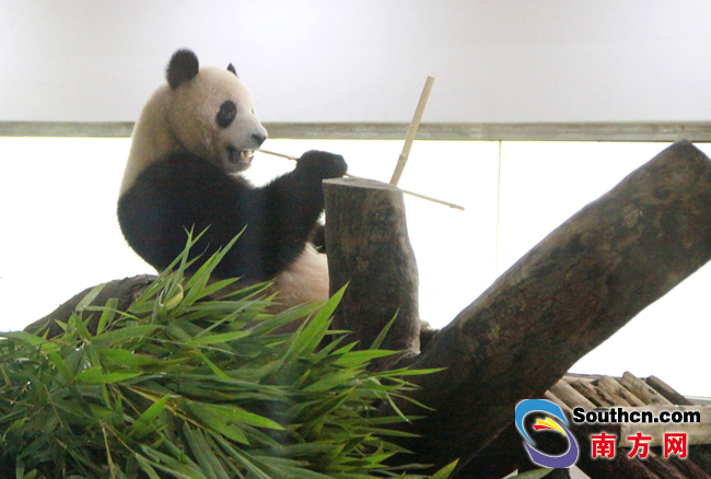 向世界展示安庆“智造”风采