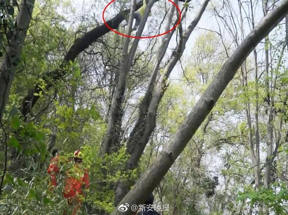 電動按摩棒