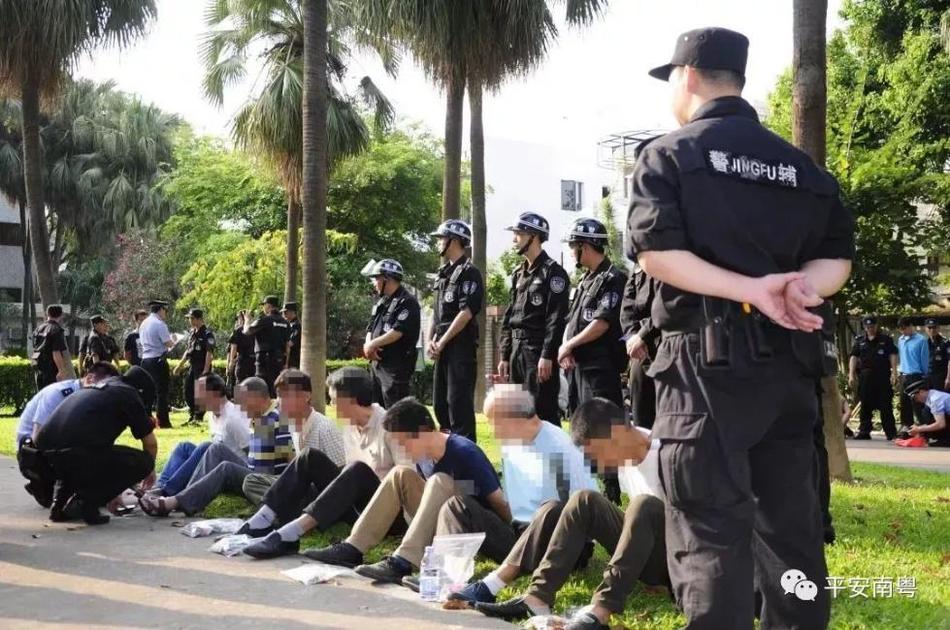 欧洲精品影视资源在线观看