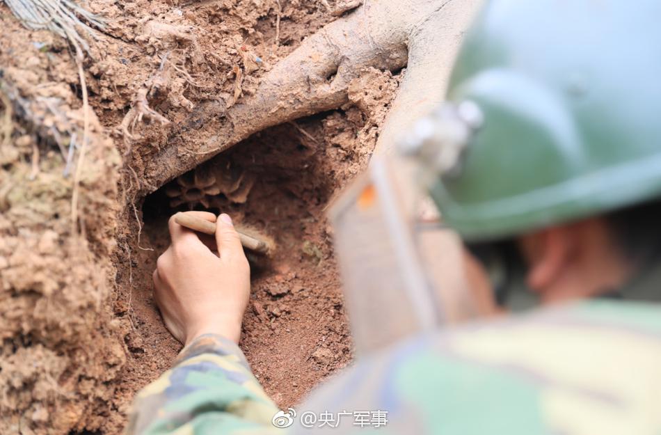 夫妻性毛片无码一及毛片