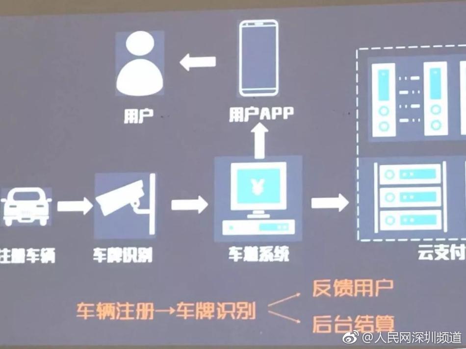 九九热在线视频