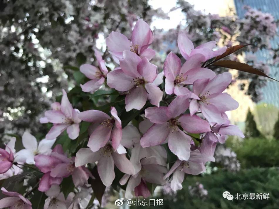 Chinese骚年引老头视频