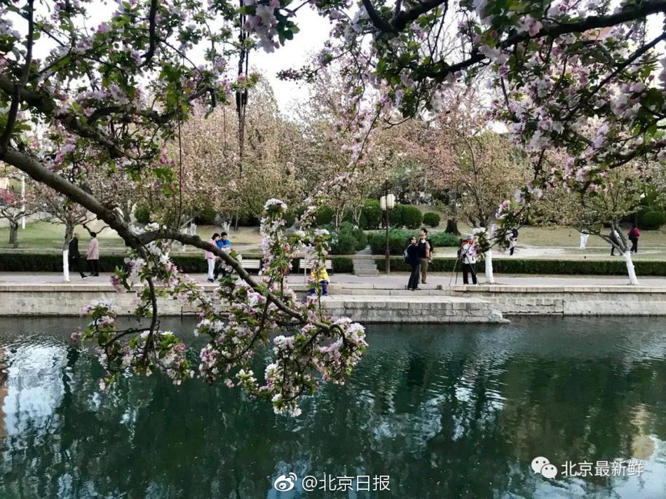 妩媚导航