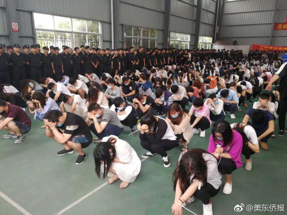 欧美人与人动人物2024心理学