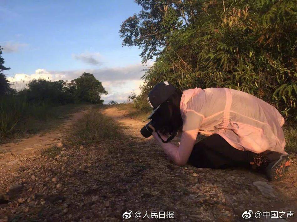 Av黄色网站