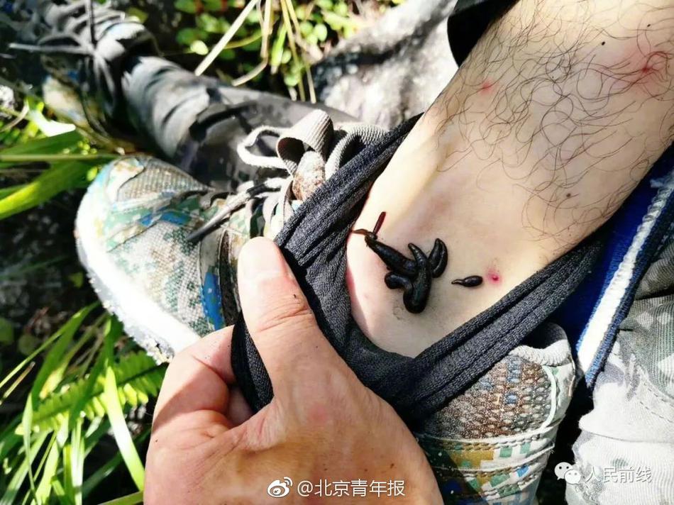 农村少妇毛片精品兔费特黄