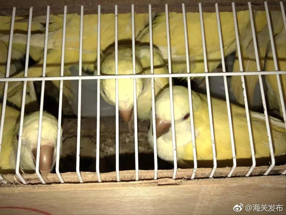 当涂县首期姑孰书画院非遗传承培训班开班