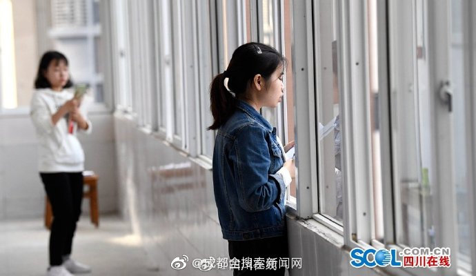 黄色网网络