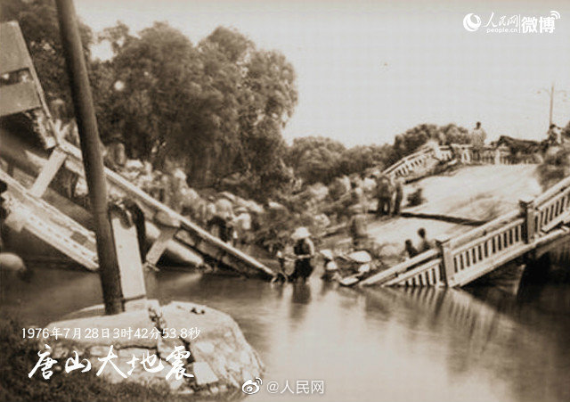 成人 影视 下载