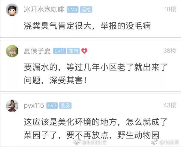 今年的天气是什么现象_今年是什么年
