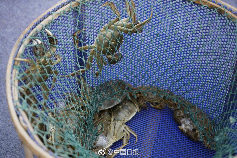 黄色不良网站