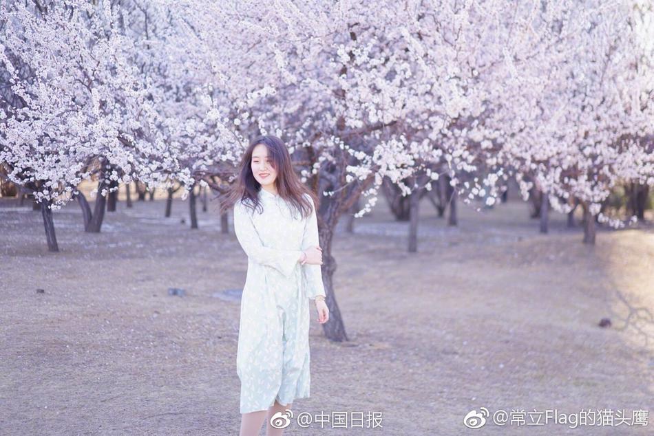 皇帝与宫女乱高潮A片