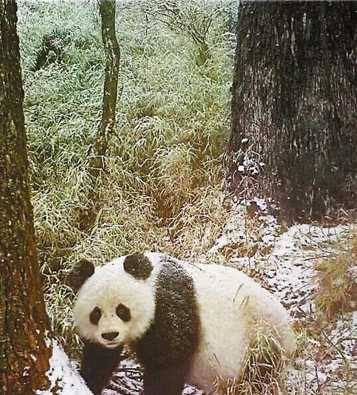 潮喷性爱电影