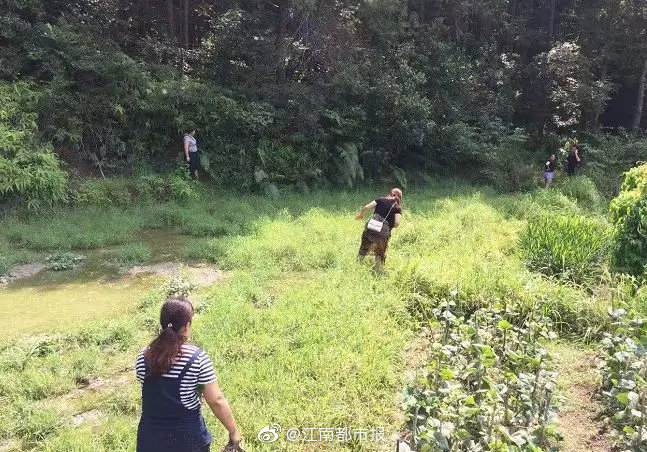 人人人爽