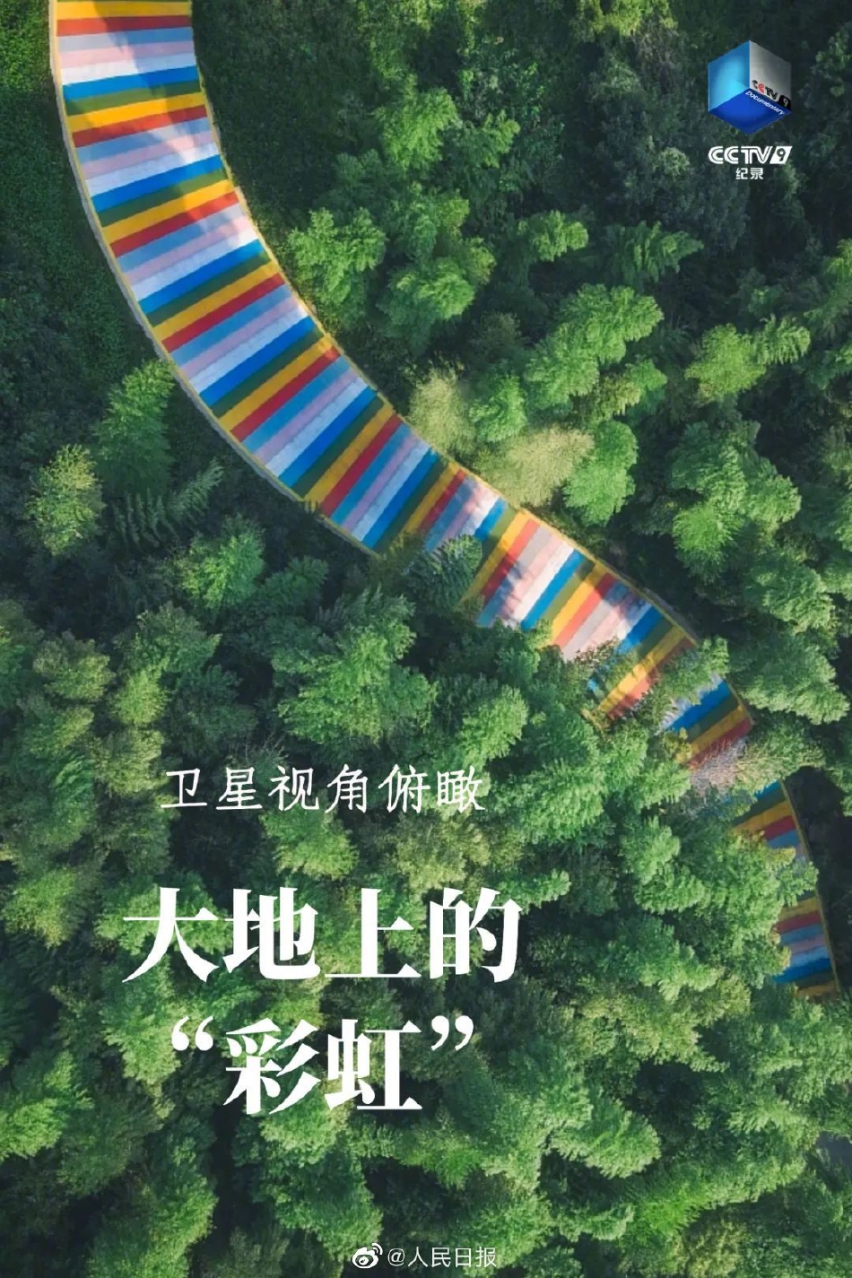 中国同志电影三级片1069免费看