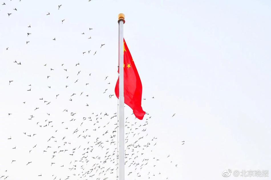 欧美激情老人