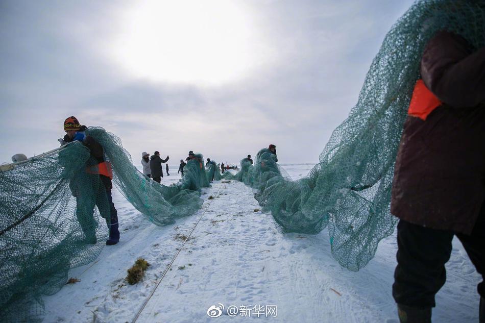 免费观看无需下载在线黄片