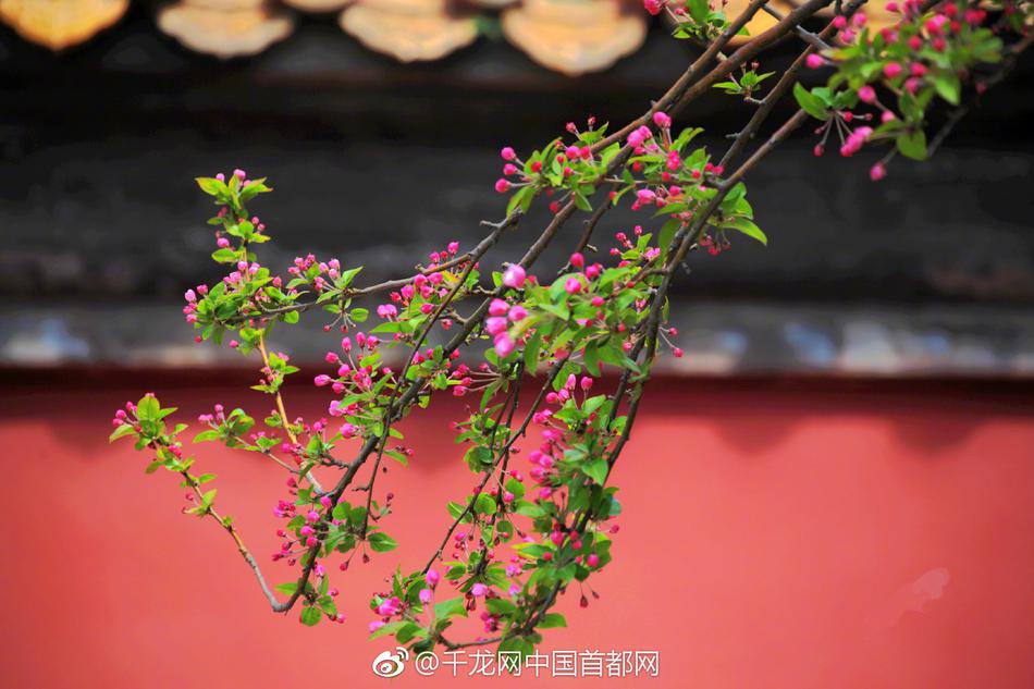 chinese肥熟亂伦BBW