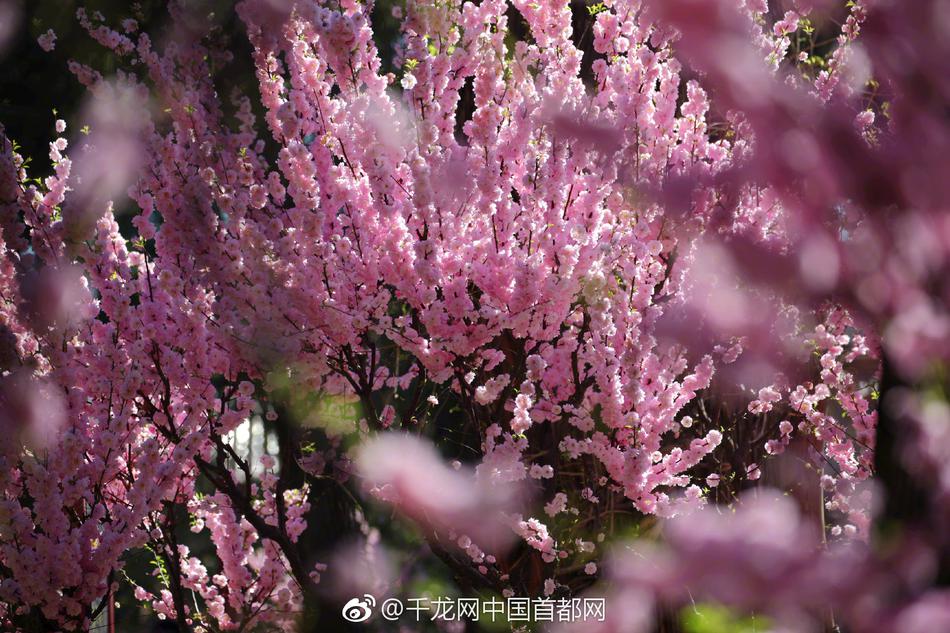 草1024榴社区入口t66y