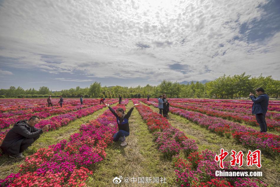 布朗：理解球迷为喜欢的球队加油 但有人诅咒我韧带撕裂&太过分