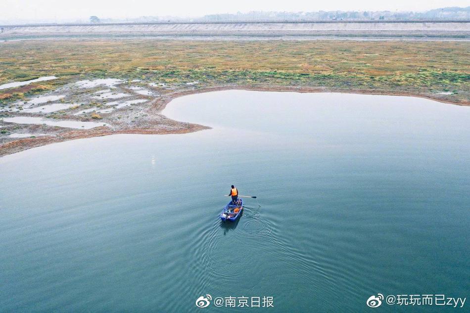 黄色软件APP