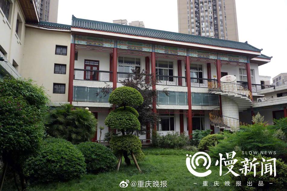 久久久香蕉