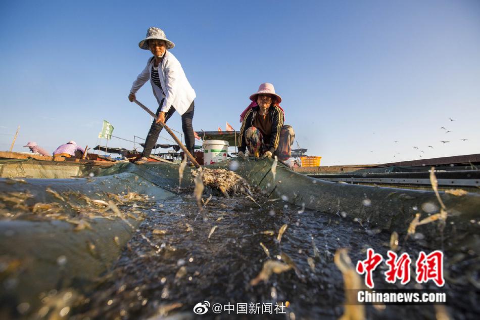 在线你懂的